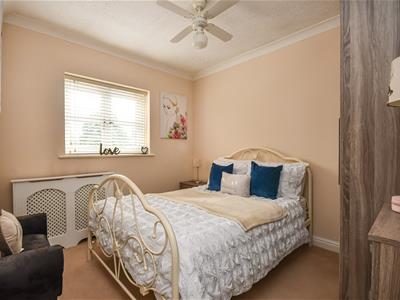 Picture 8